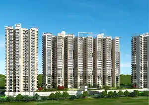 Copy of Rise Brochure