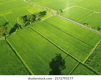 lands
