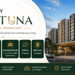 ramky fortuna whitefield